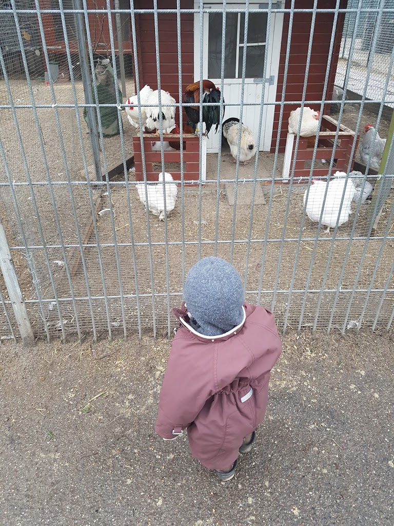 amager-privat-pasningsordning-privat-dagpleje-17.jpeg