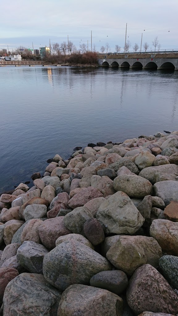 arla-foods-copenhagen-14.jpeg