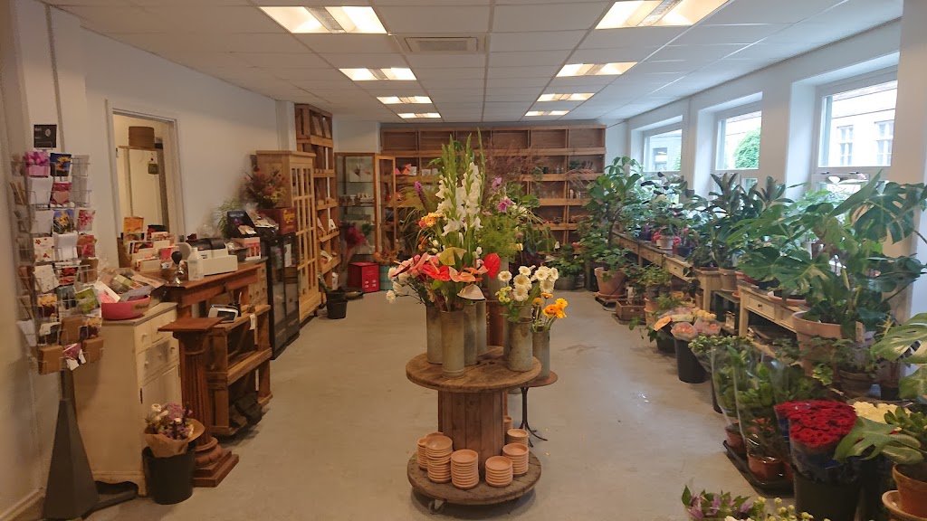 blagards-blomster-0.jpeg