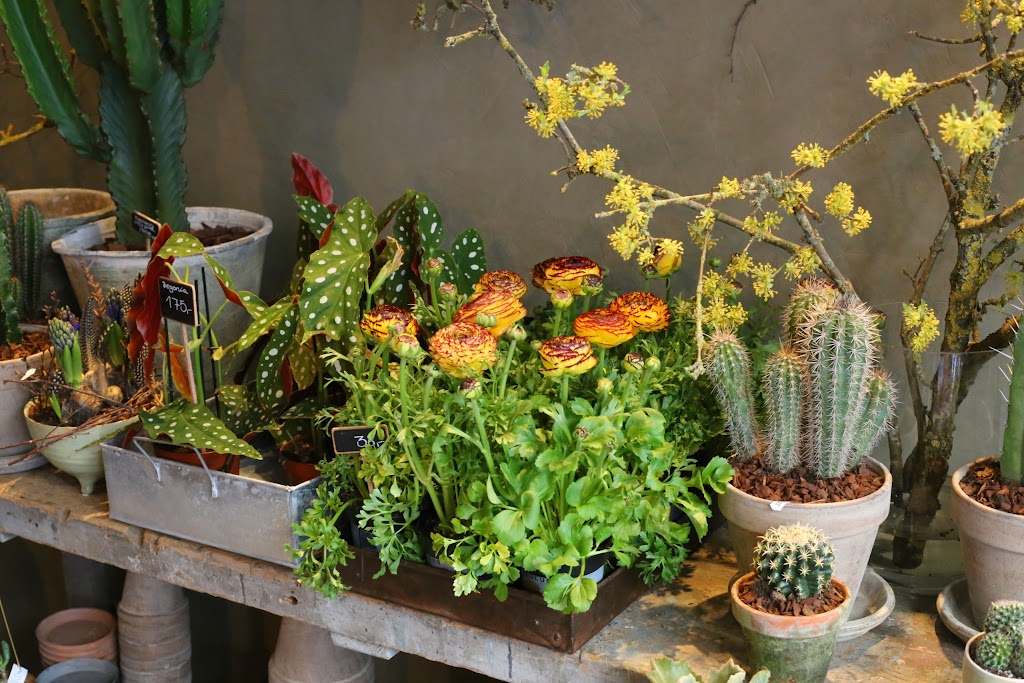 blomsterdrom-studio-11.jpeg
