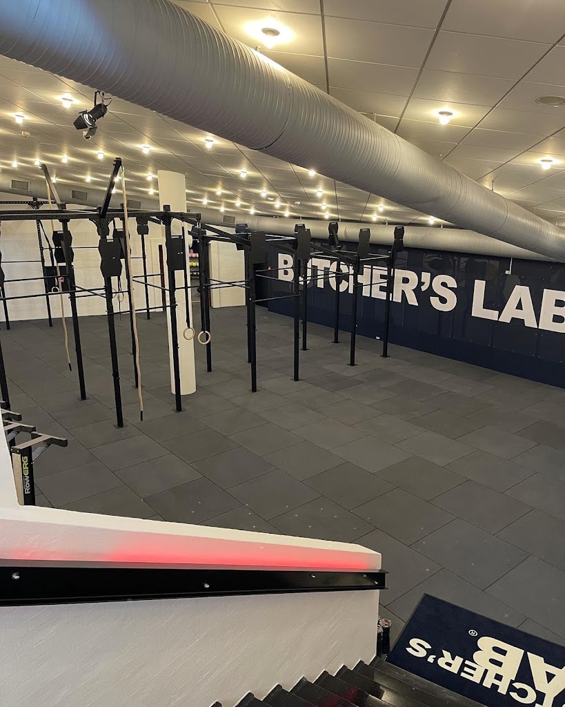butchers-lab-2.jpeg