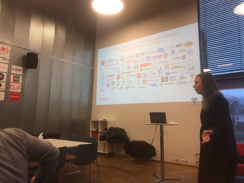 danish-youth-council-1.jpeg