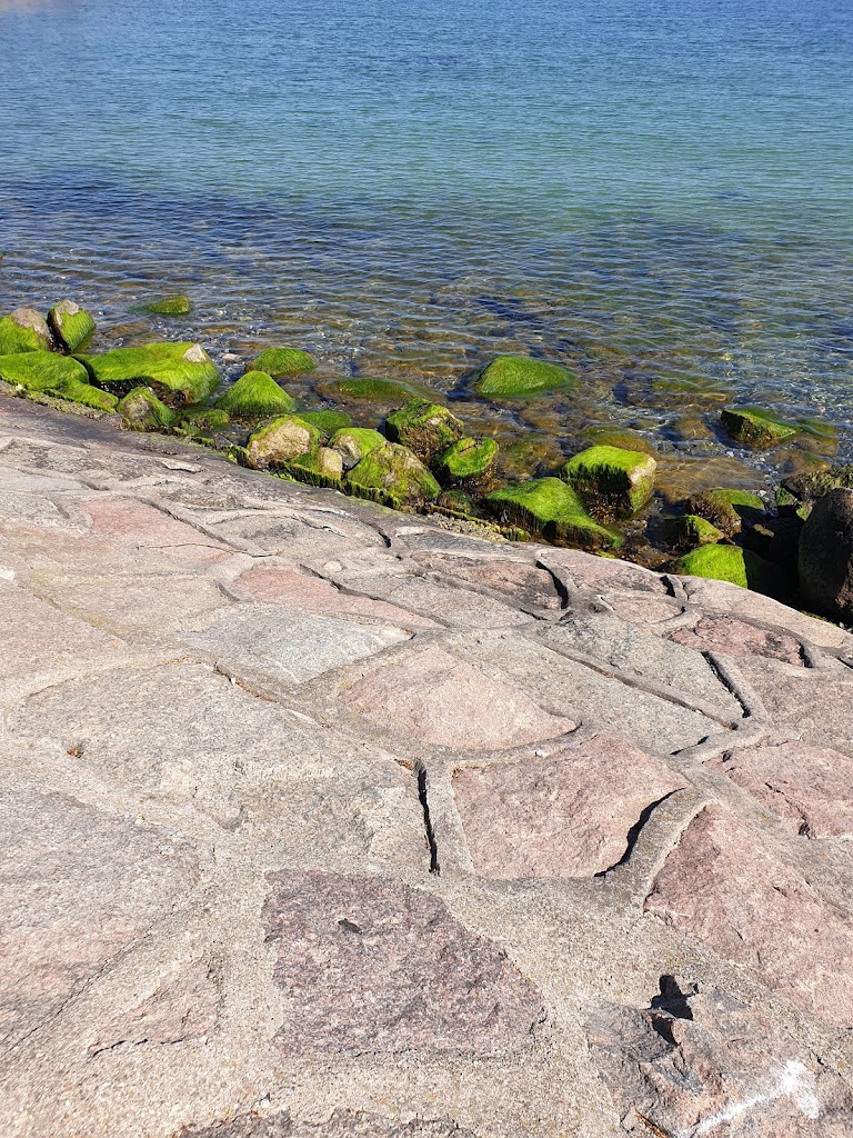 danish-youth-council-7.jpeg