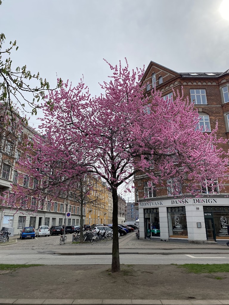 dansk-design-2.jpeg