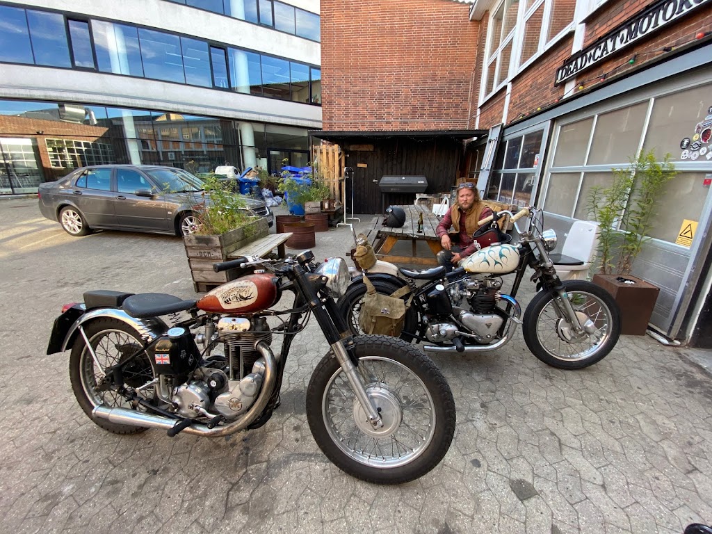 dead-cat-motorcycles-3.jpeg