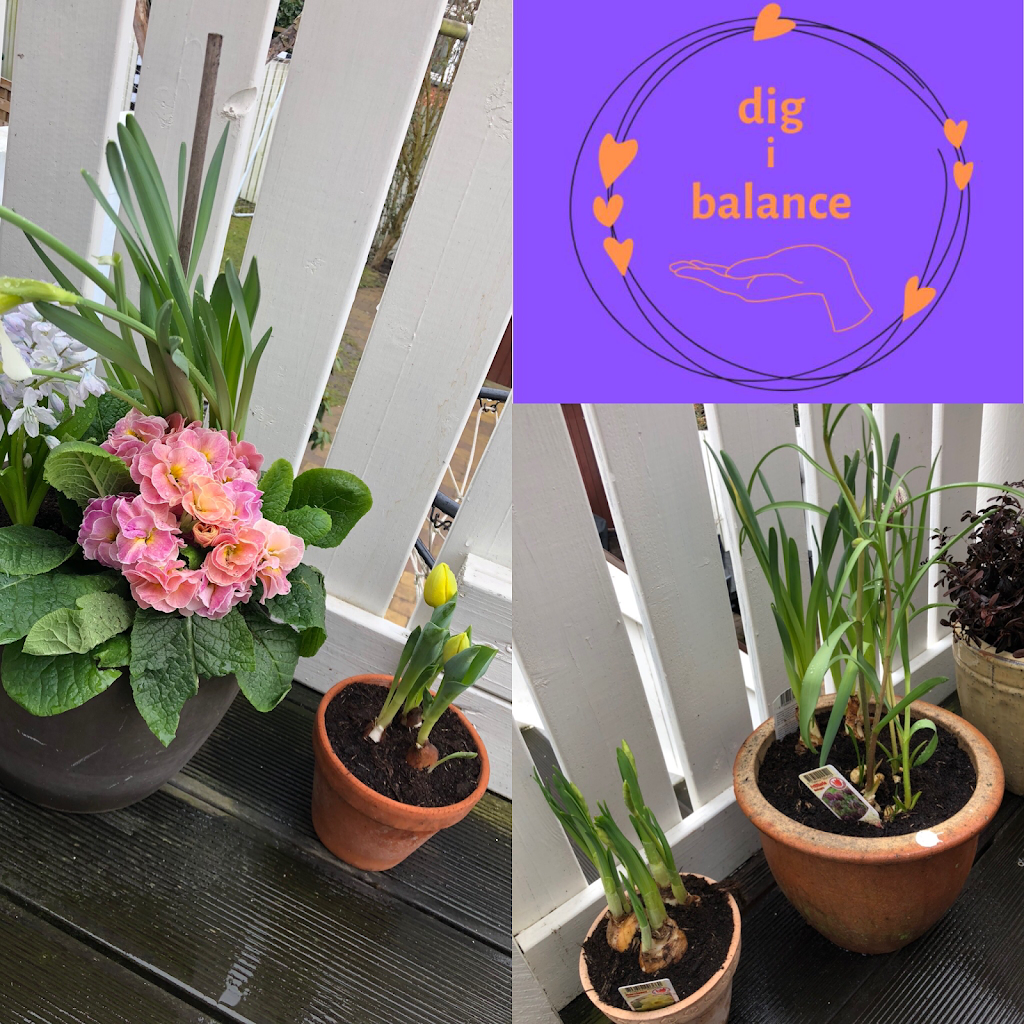 dig-i-balance-kropsterapi-v-sos-birkholm-17.jpeg