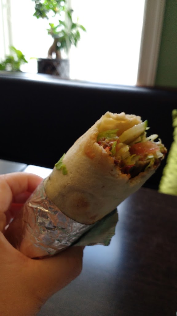 duniyas-shish-kebab-pizza-6.jpeg