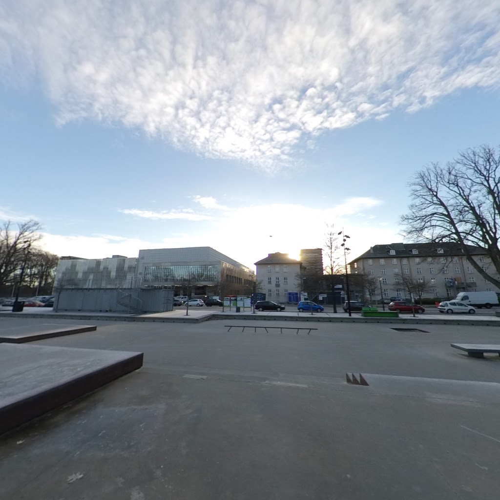 faelledparken-skate-park-15.jpeg