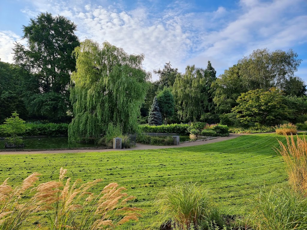 faelledparken-skate-park-3.jpeg
