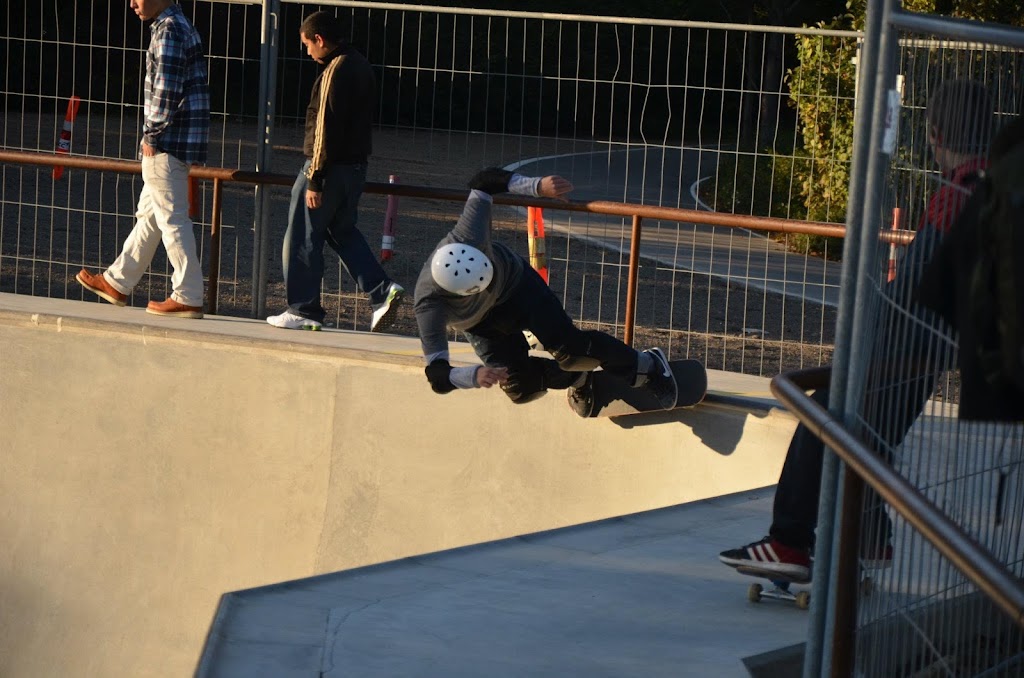 faelledparken-skate-park-6.jpeg