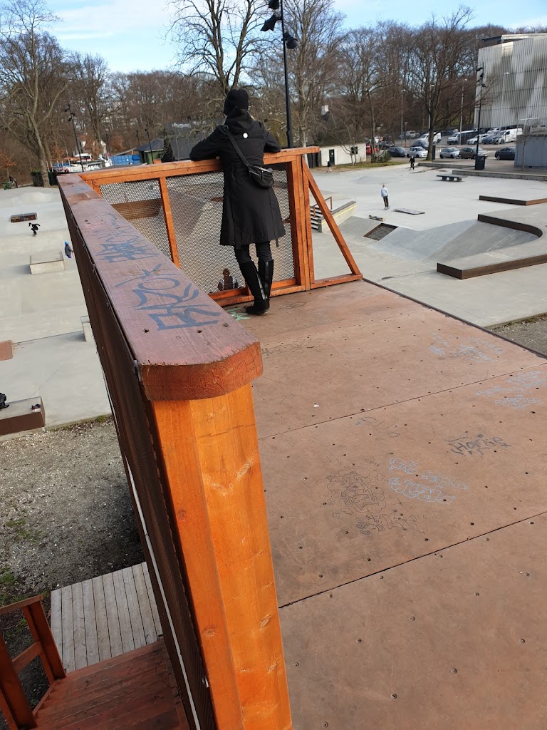 faelledparken-skate-park-9.jpeg