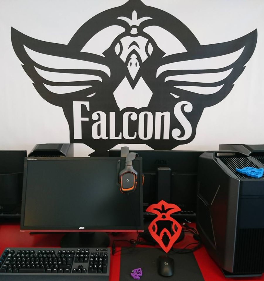 falcons-esport-aps-10.jpeg