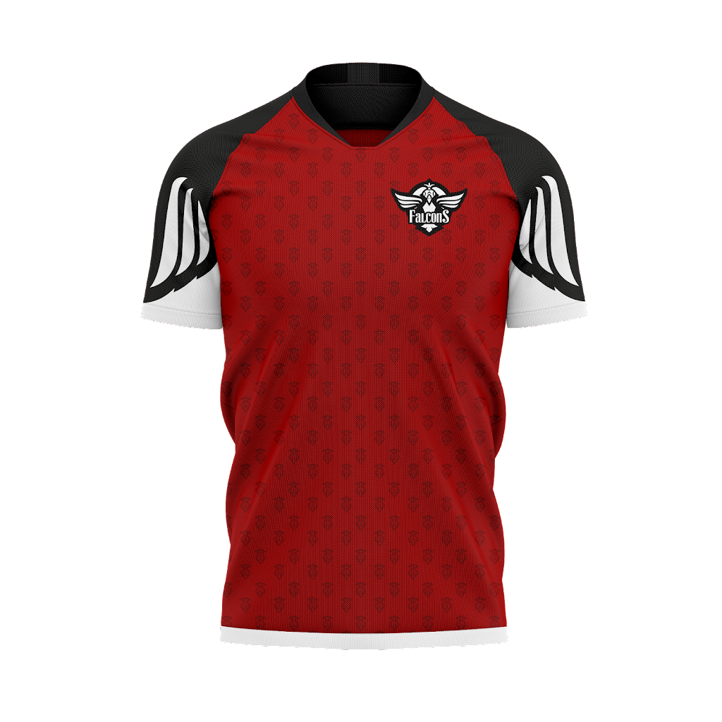 falcons-esport-aps-11.jpeg
