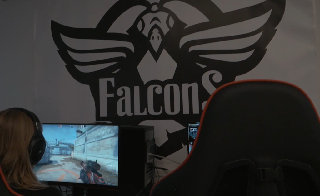 falcons-esport-aps-14.jpeg
