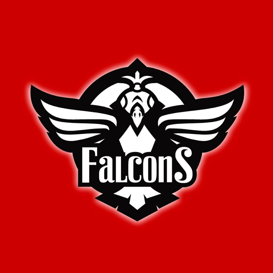 falcons-esport-aps-15.jpeg