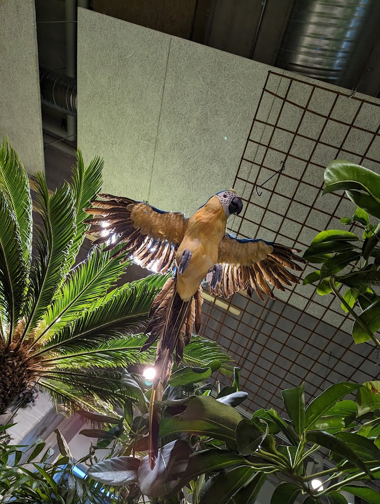 florateket-6.jpeg