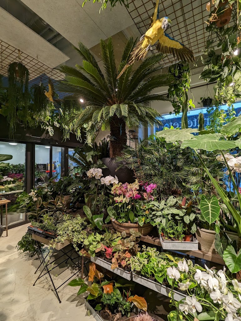 florateket-7.jpeg