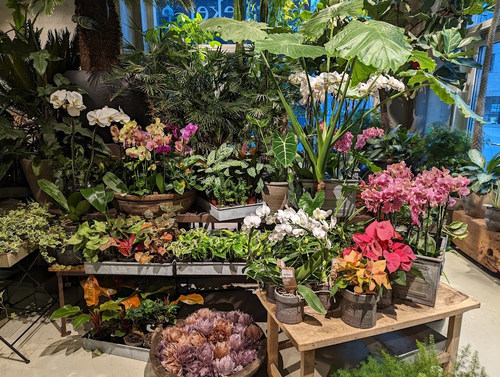florateket-9.jpeg