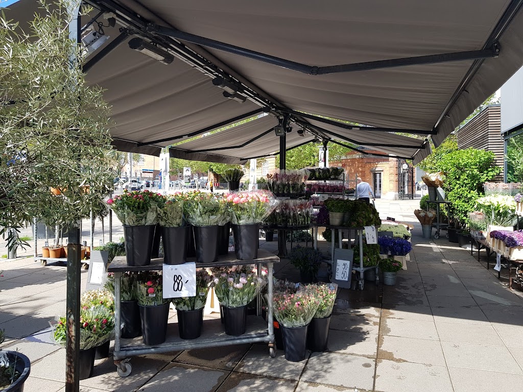 flower-bjarne-0.jpeg