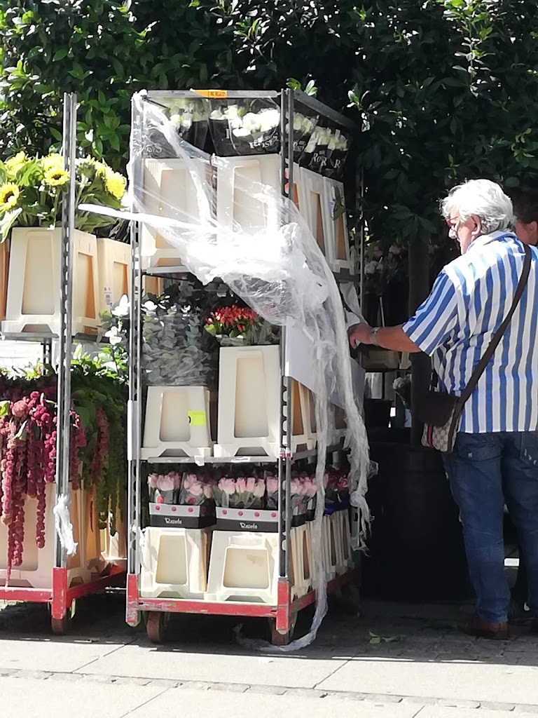 flower-bjarne-9.jpeg