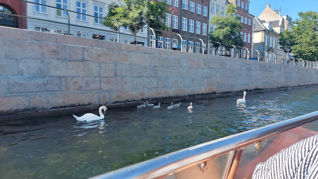 havnerundfarten-5.jpeg