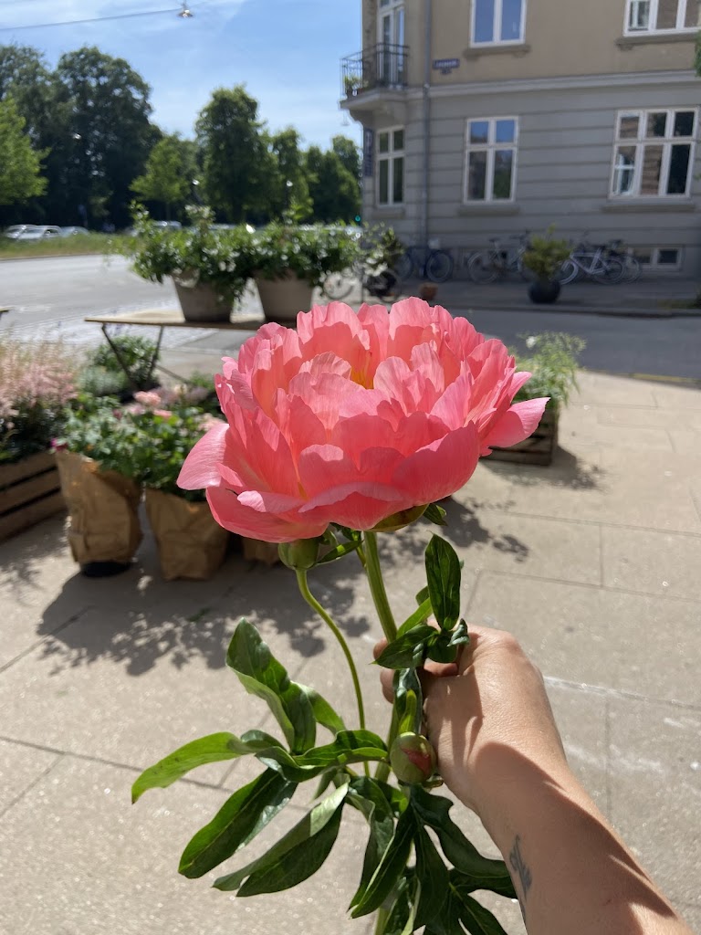 kongsbro-blomster-15.jpeg