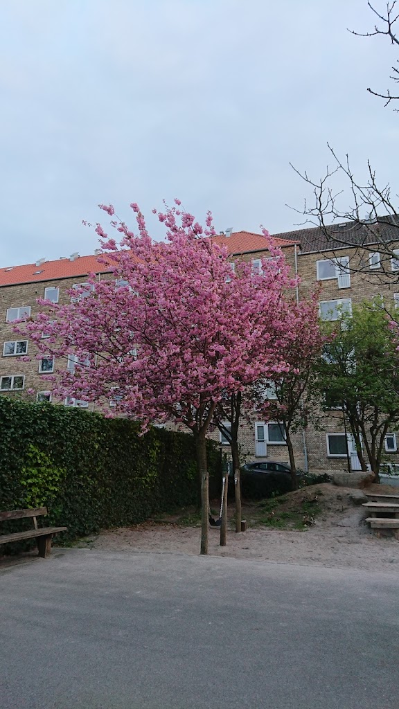 legepladsen-i-saetersdalparken-0.jpeg
