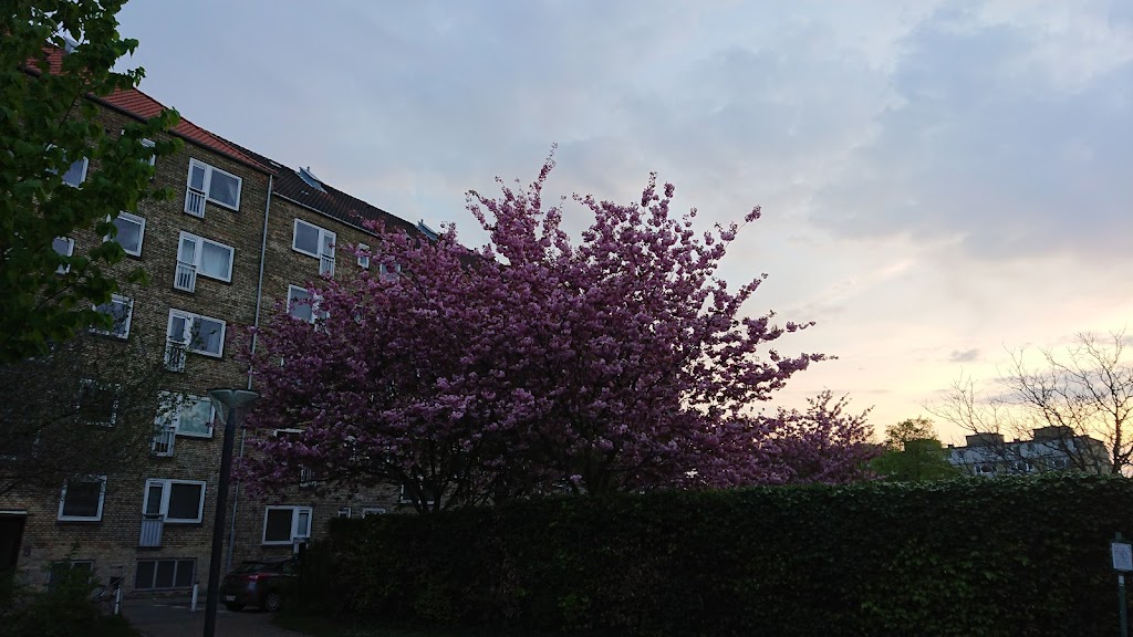 legepladsen-i-saetersdalparken-3.jpeg