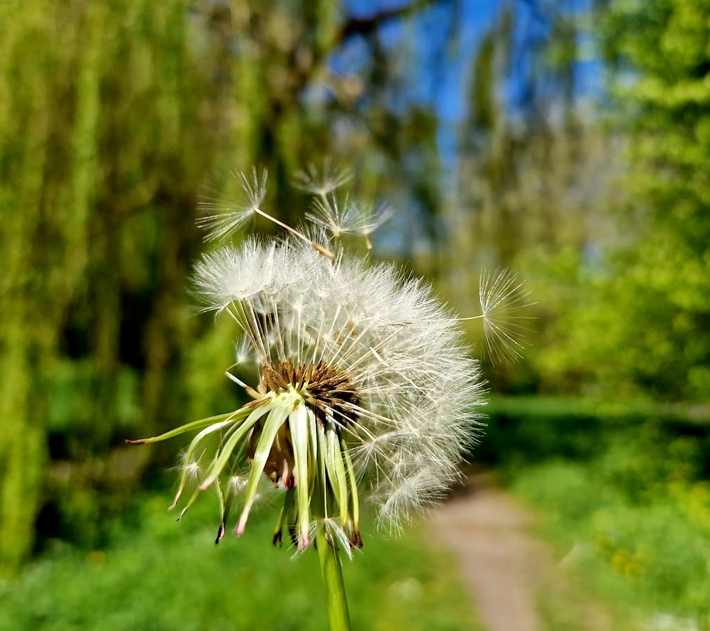 legepladsen-i-vigerslevparken-ved-stakhaven-6.jpeg