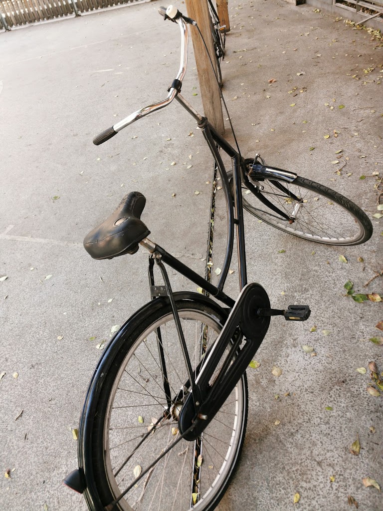 librebikes-8.jpeg