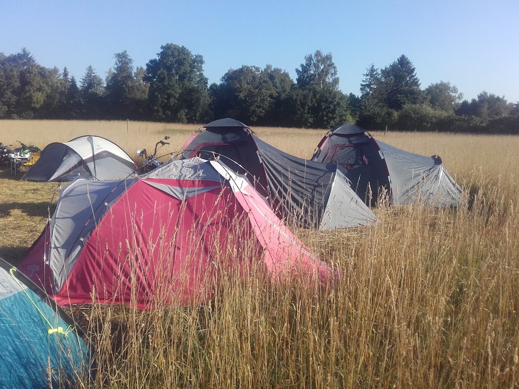morgenhard-mc-1.jpeg