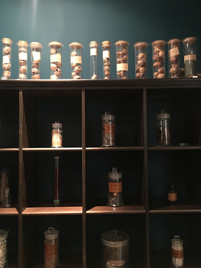 naturmedicinsk-museum-1.jpeg