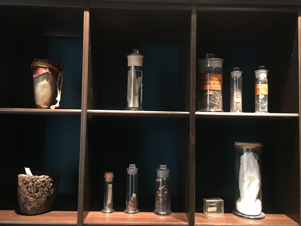 naturmedicinsk-museum-9.jpeg