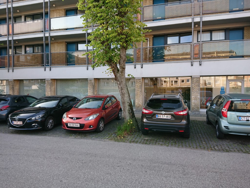 naturterapeuterne-1.jpeg