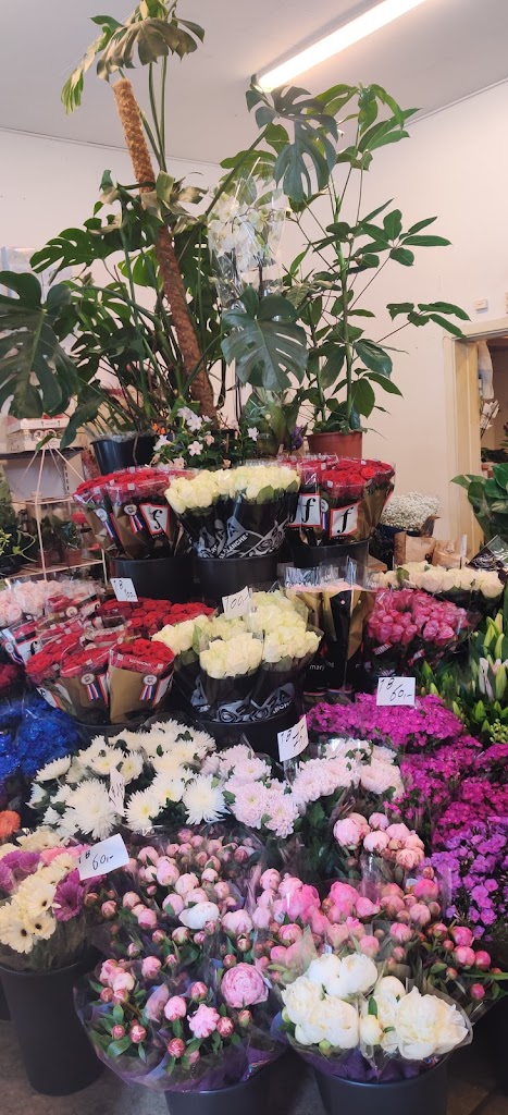 orkide-blomster-18.jpeg