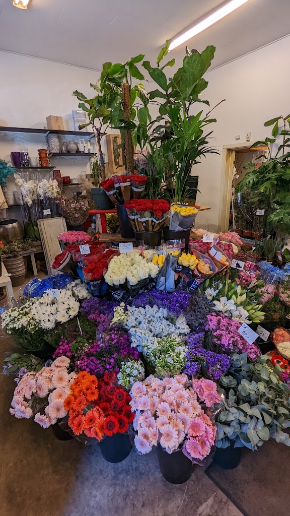 orkide-blomster-4.jpeg