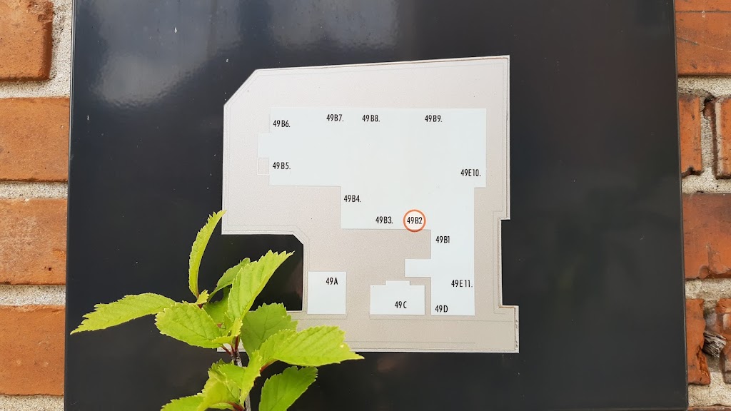 pasfoto-visumfoto-kobenhavn-1.jpeg