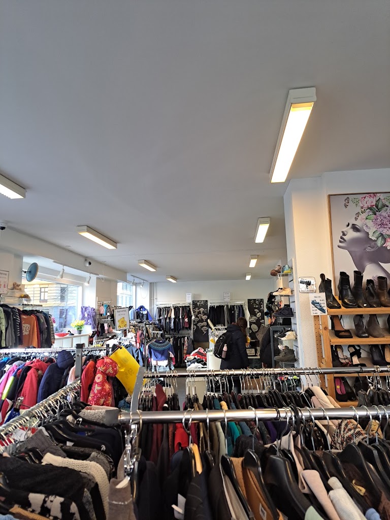 reden-op-shop-2.jpeg