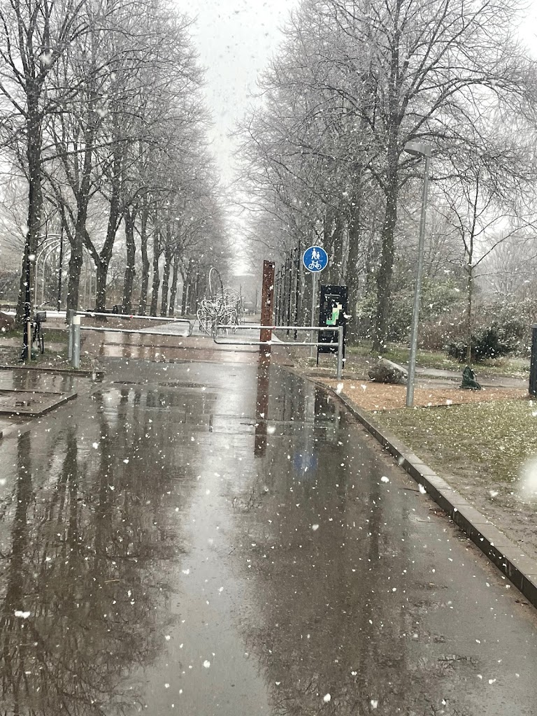 remiseparken-skatepark-18.jpeg