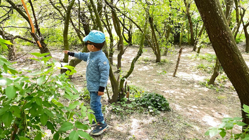 rodkilde-parkens-naturlegeplads-15.jpeg