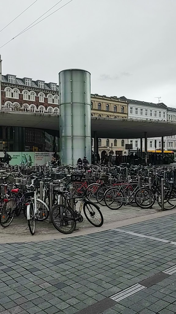 rosengarden-integreret-institution-0.jpeg