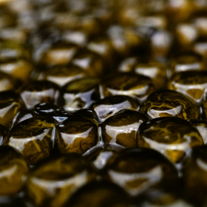 rossini-caviar-a-s-12.jpeg