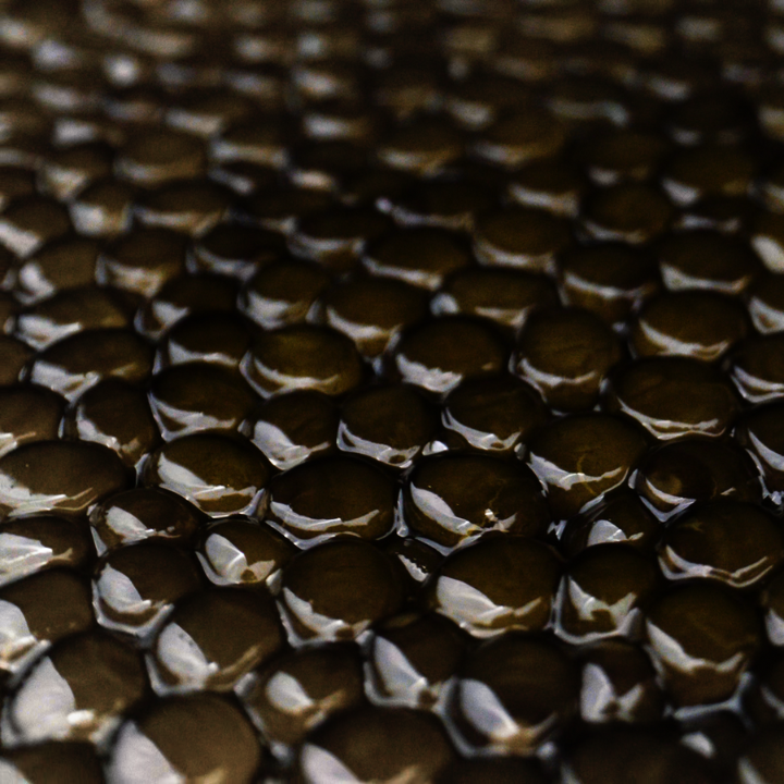 rossini-caviar-a-s-16.jpeg