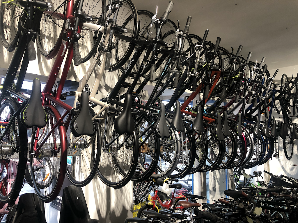 svanemollens-cykler-4.jpeg
