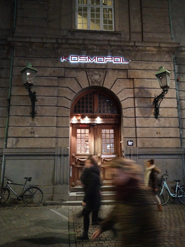 the-danish-finance-society-3.jpeg