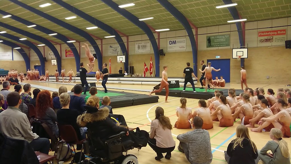 dalmosehallen-0.jpeg