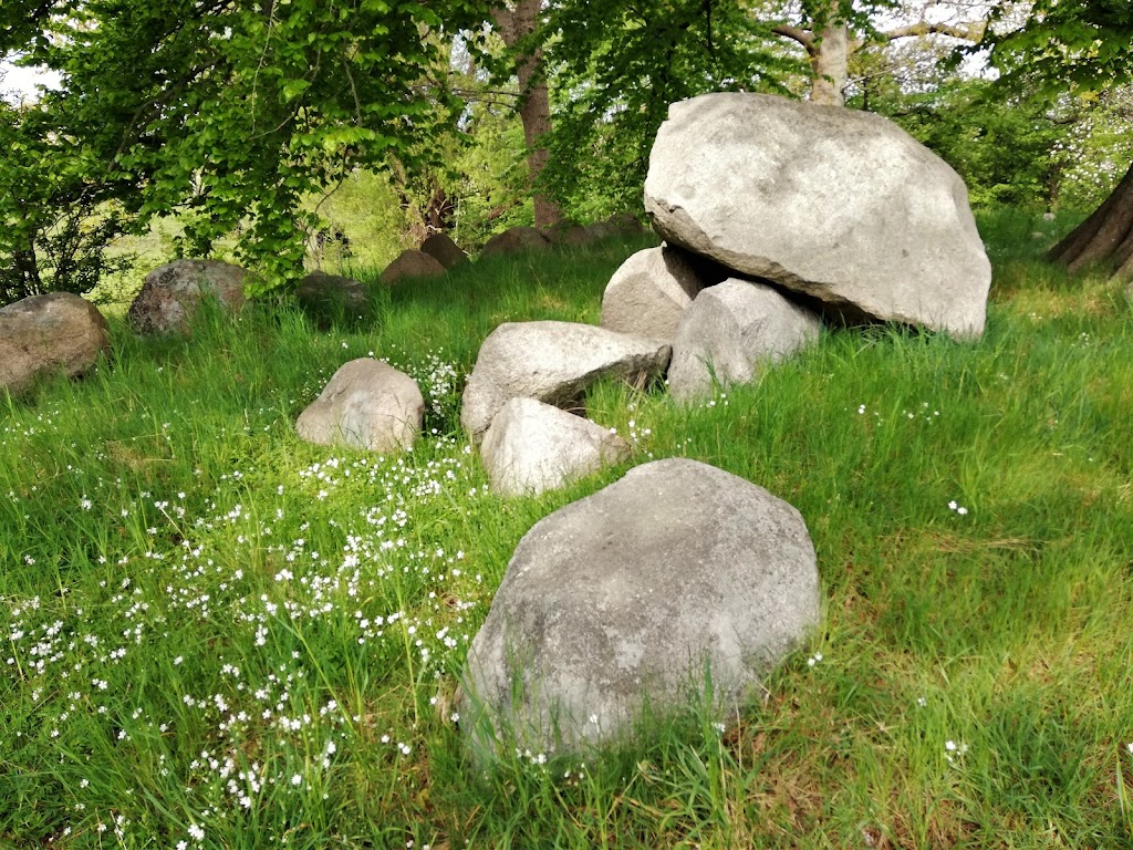 langdysse-pa-merbjergvej-2.jpeg
