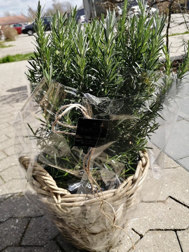 blomster-hjornet-aps-3.jpeg