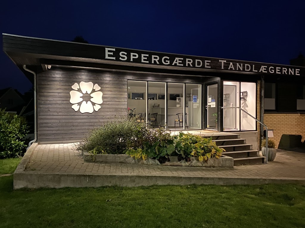 dentists-marianne-eriksen-and-caspar-boelsmand-0.jpeg