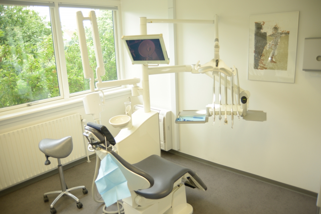 dentists-marianne-eriksen-and-caspar-boelsmand-1.jpeg
